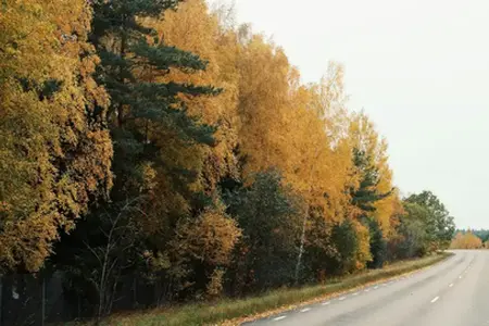 Die umfassende Renovierung der Autobahn D6 in der Umgebung von Kladno wurde mit Verzögerung abgeschlossen.